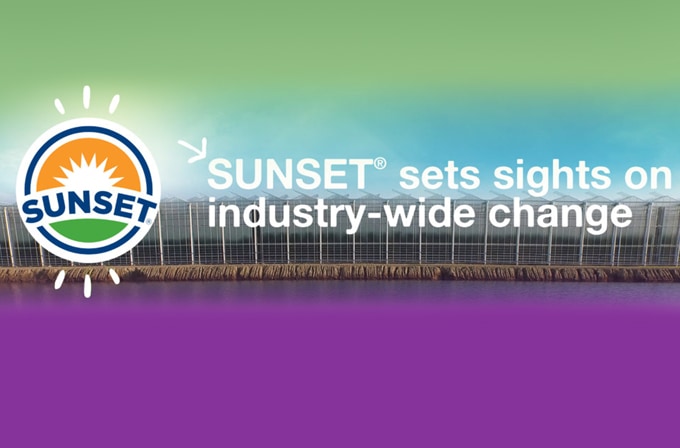 Sunset-Mastronardi-First-in-Fresh-to-Join-Sustainable-Packaging-Coalition