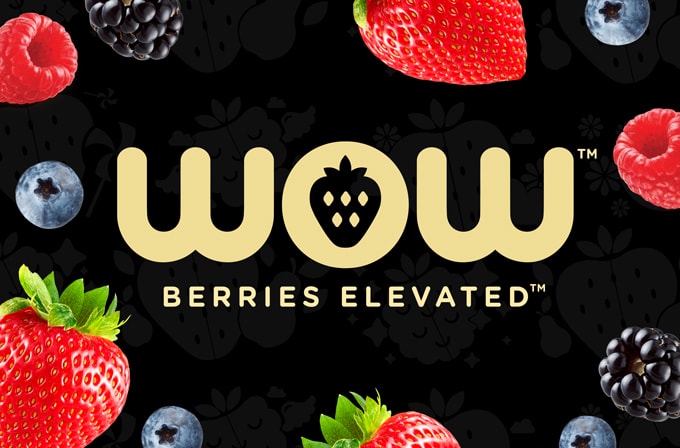 SUNSET-WOW-Berries-Promo-Named-Best-In-Show
