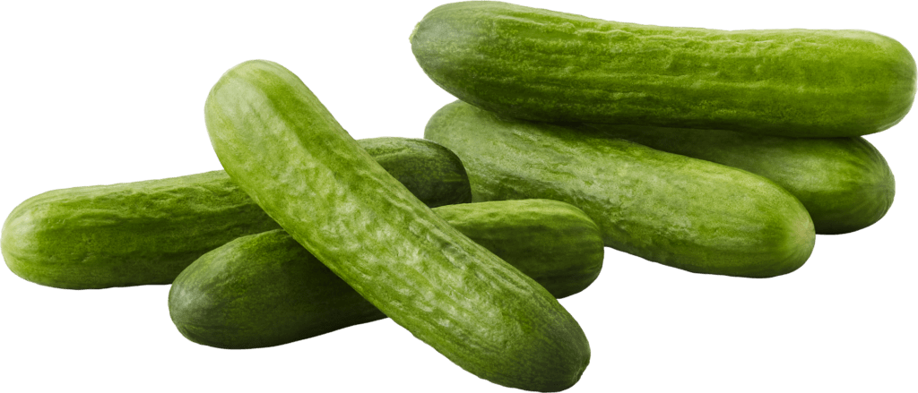 Organic Mini Cucumbers