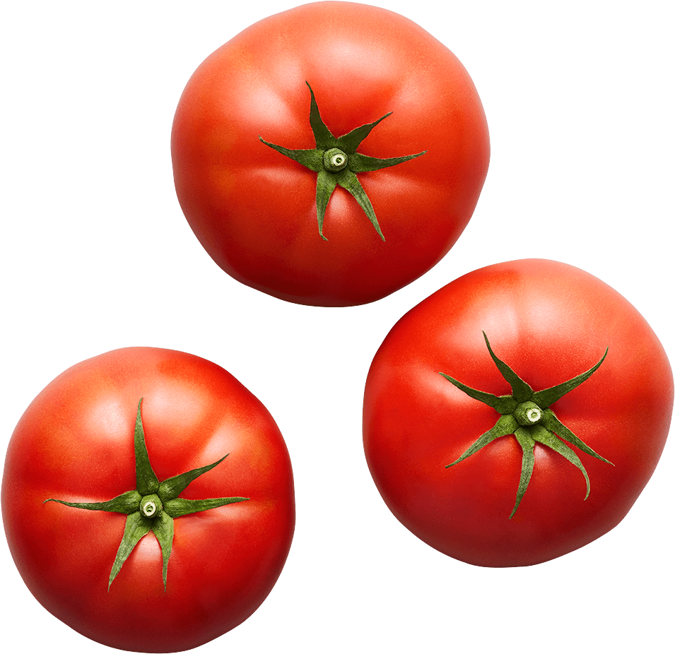 Organic Beefsteak Tomatoes - SUNSET Grown. All rights reserved.