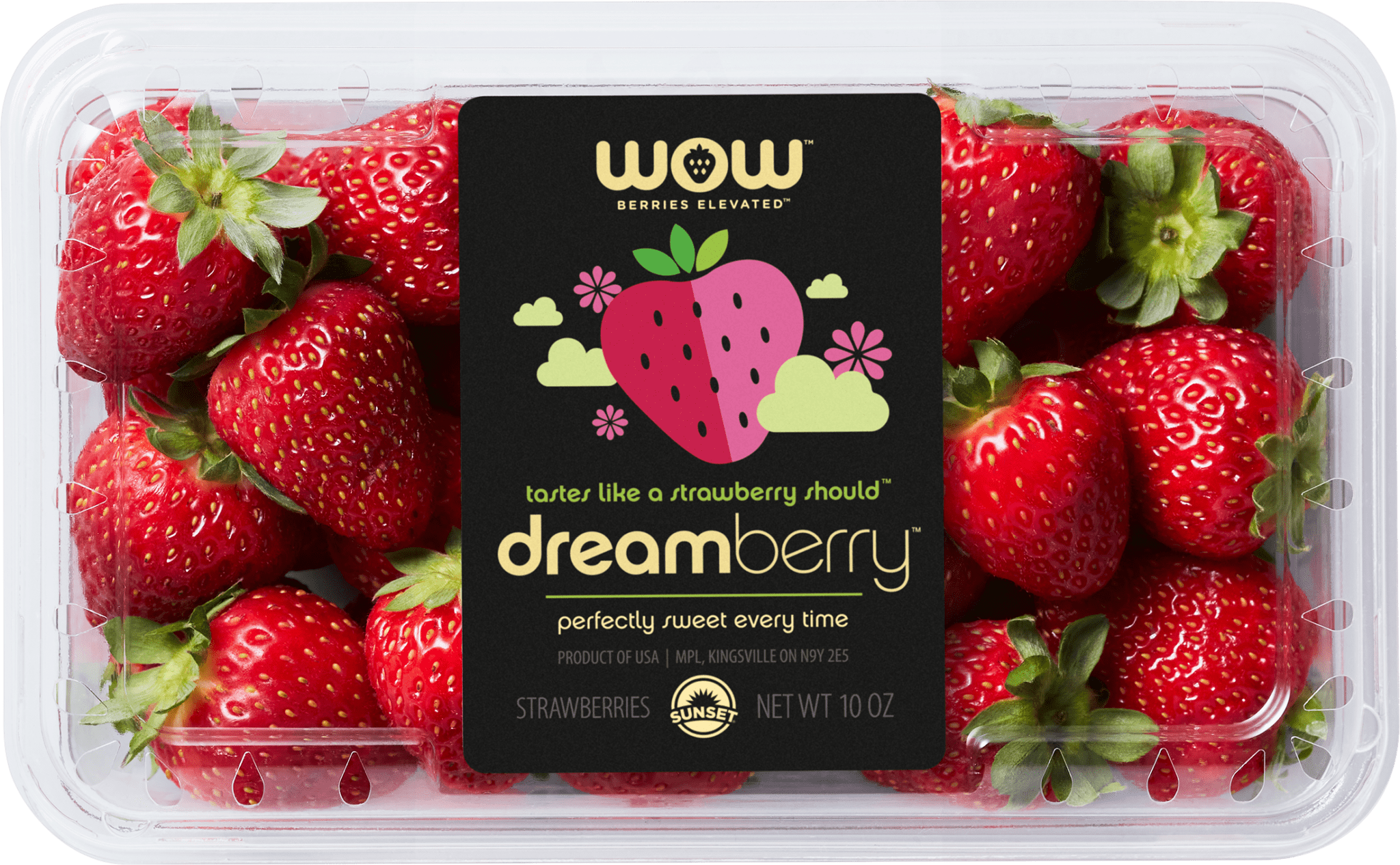 dreamberry