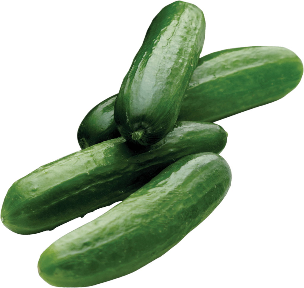 Sunset® Mini Cucumbers, 6 ct / 14 oz - Harris Teeter