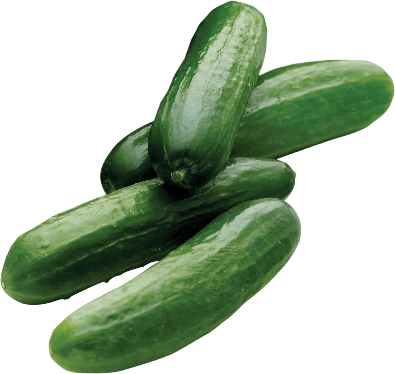 one-sweet-cucumbers-sunset-grown-all-rights-reserved