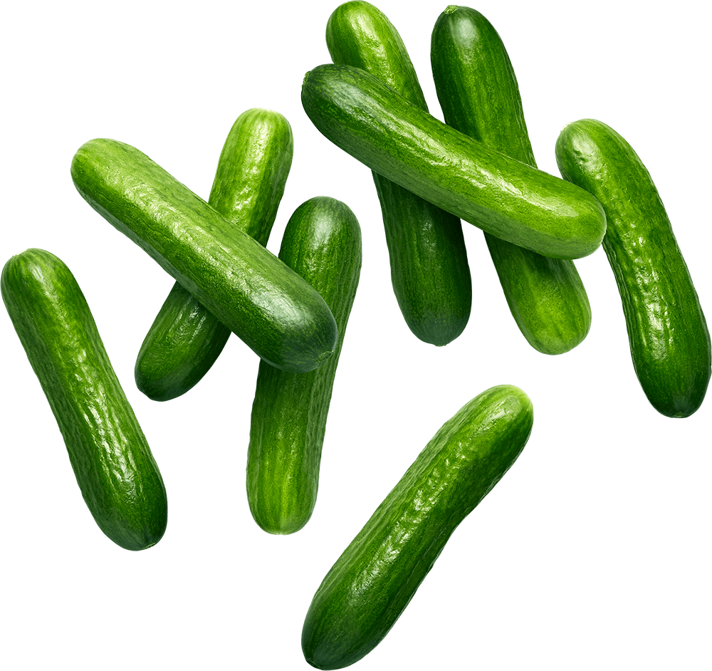 Nature Fresh Farms Organic Mini Cucumbers Reviews