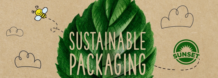 Essentials for Eco-Friendly Living All-around Sustainable Products