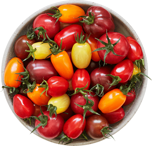 Wild Wonder organic tomatoes