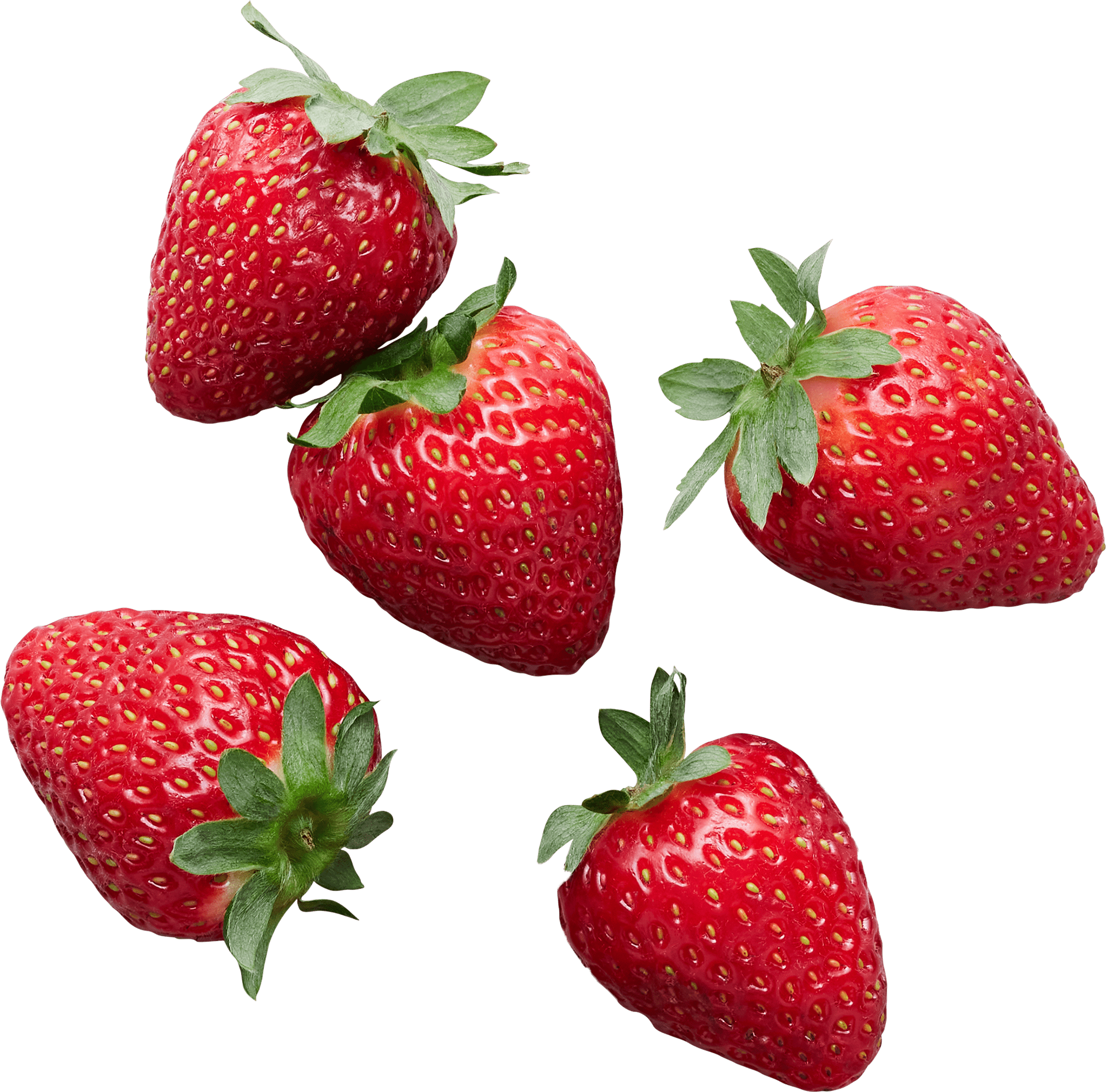 Wow Berries Dreamberry Sunset Grown All Rights Reserved