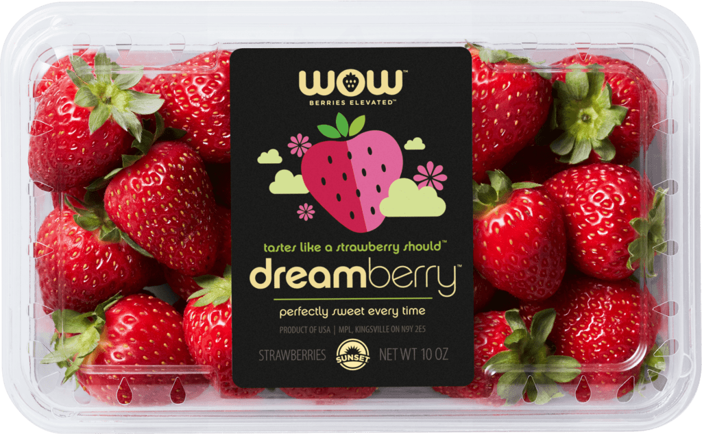 Dreamberries_Packaging_001