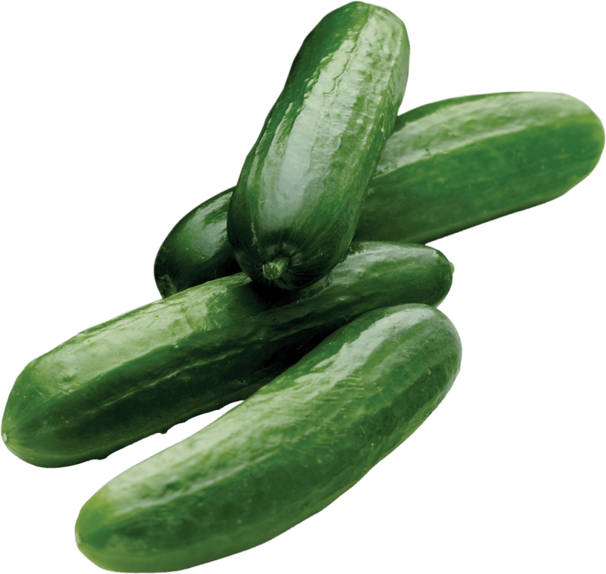 Cucumber (concombre)