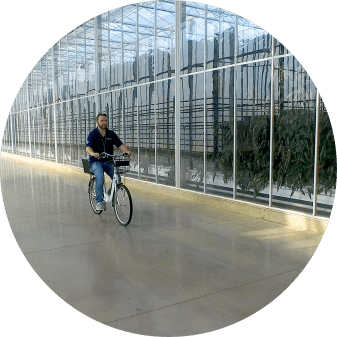 greenhouse image - pull out copy bike