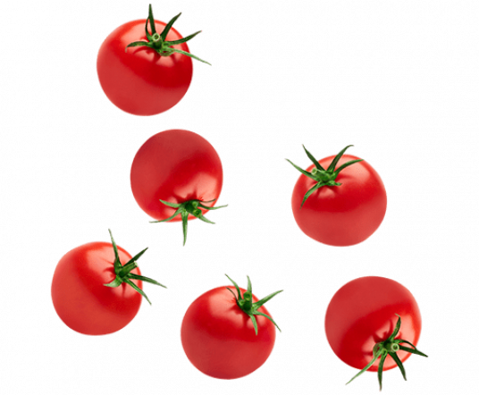 tomato-hero4